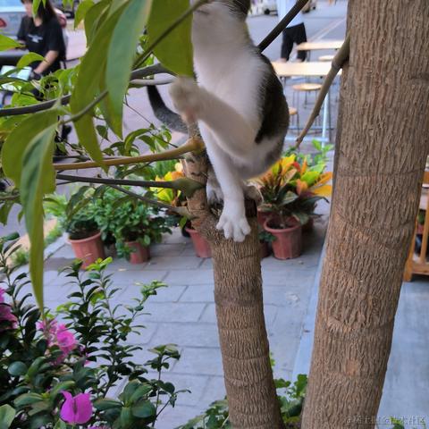 今天吃嘉晚饭于2022-11-15 17:10发布的图片