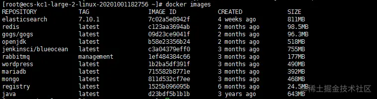 image-20210105105855982
