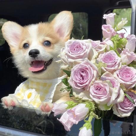 Estherxx于2023-04-12 20:51发布的图片