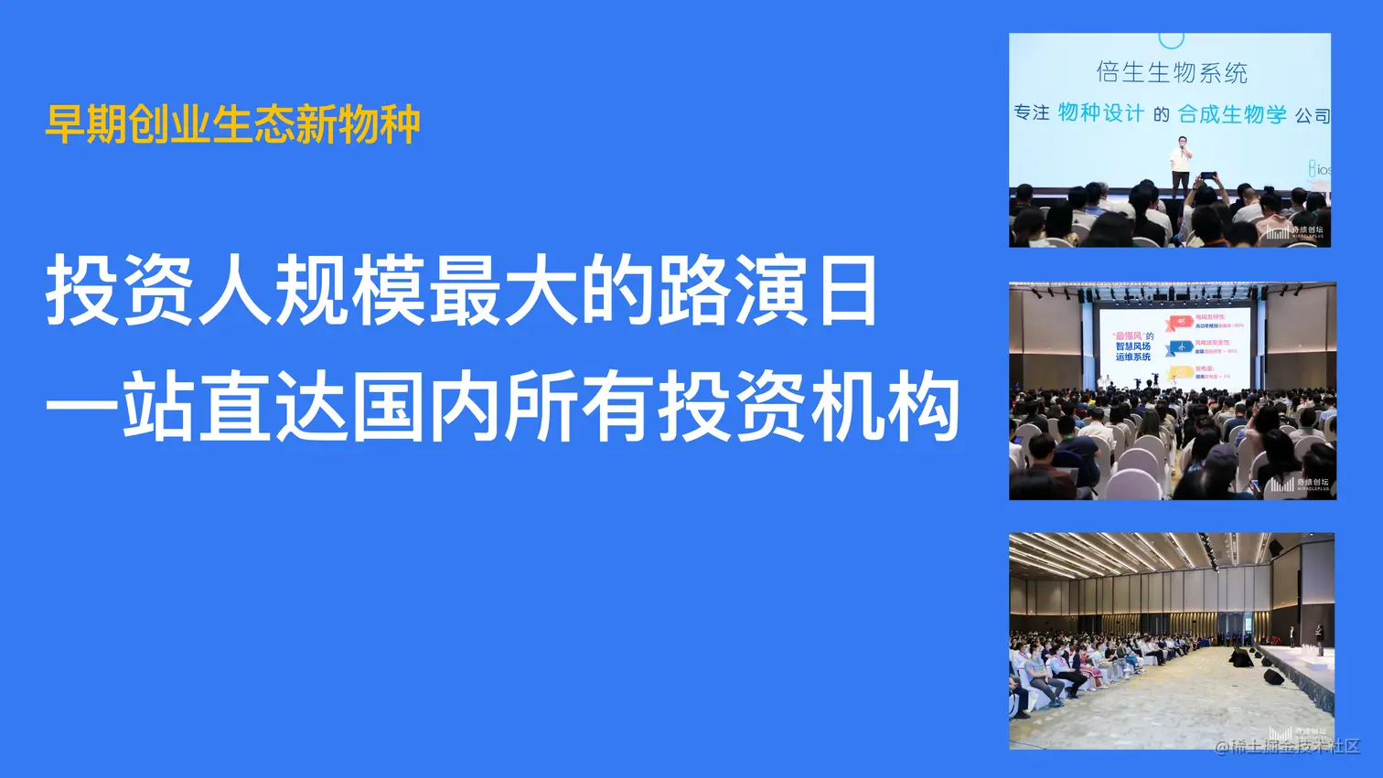 新物种 最终版-12.png