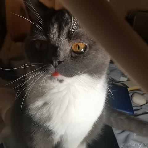 二十一一于2023-05-26 22:12发布的图片