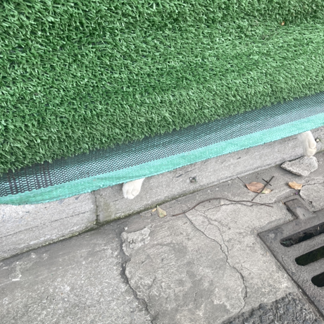 码哥机霸于2023-04-11 15:42发布的图片