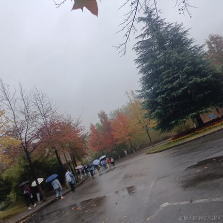 铁血贝极星于2022-11-17 07:27发布的图片