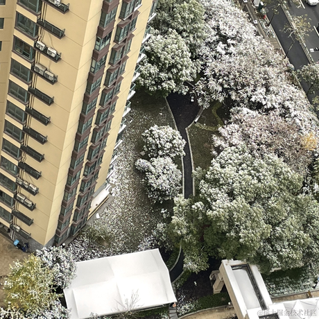 _你小子于2022-12-01 09:07发布的图片