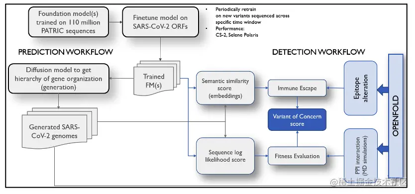 Diagram of a foundation model following either the prediction or detection workflows.