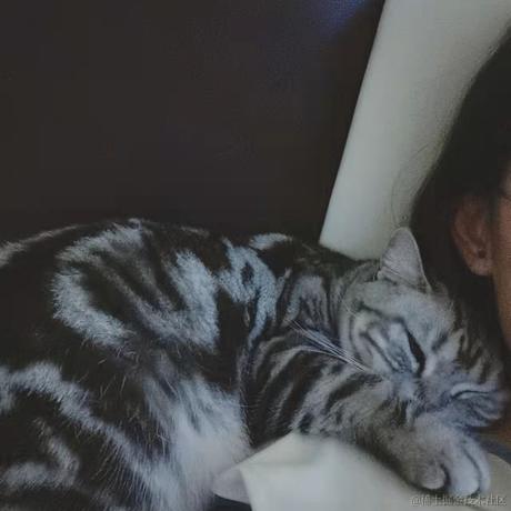 Emotion于2022-02-19 10:45发布的图片