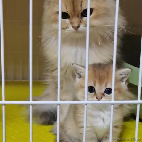 龍佛于2023-06-02 14:11发布的图片