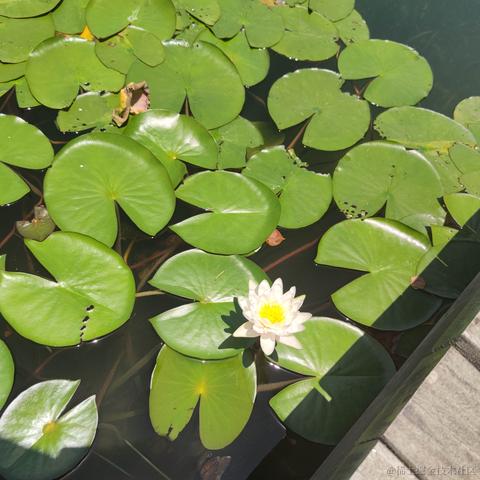 言顺于2021-06-06 13:46发布的图片