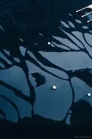 photo by Fredrik Öhlander on Unsplash