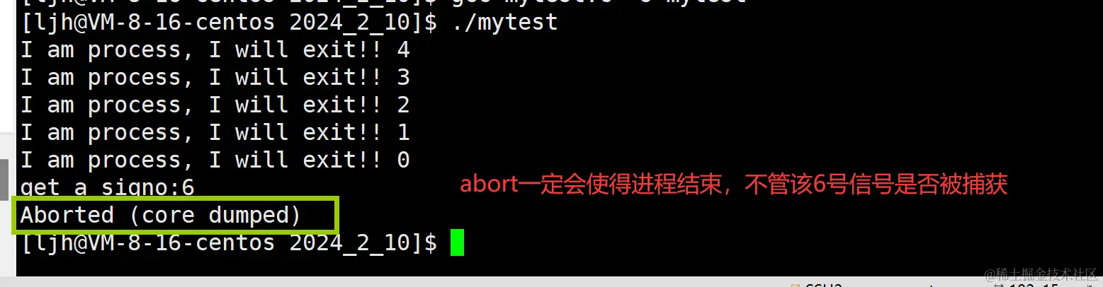 image-20240211014818484