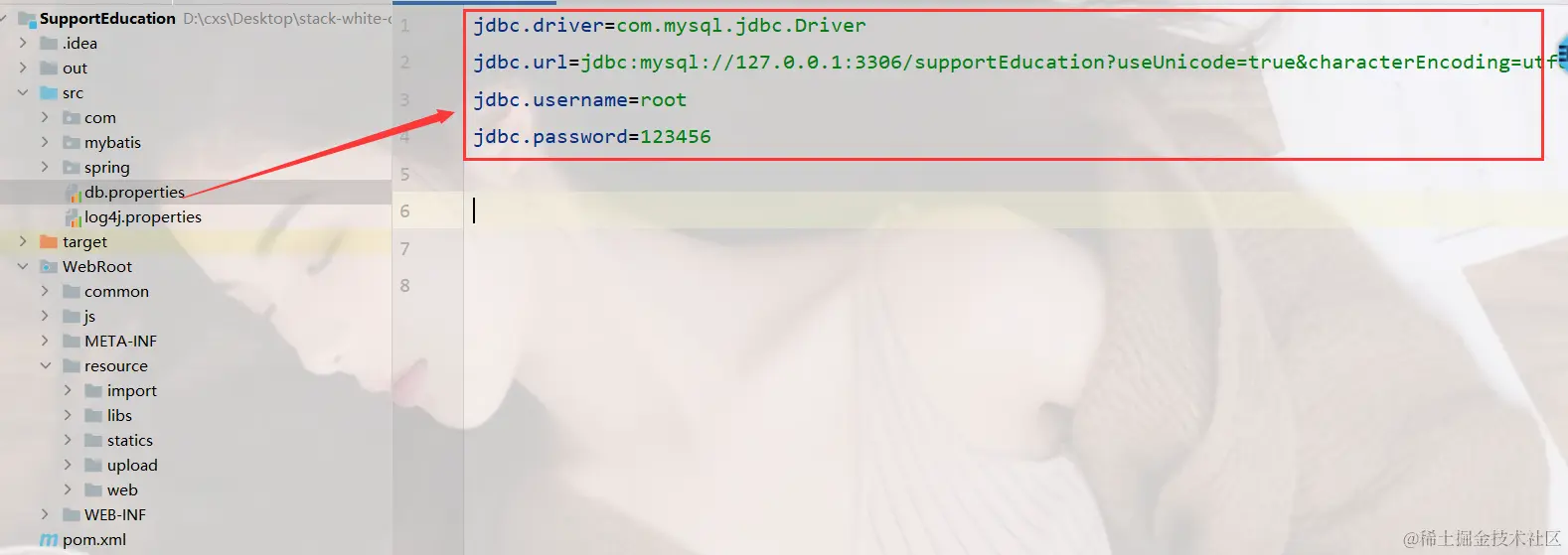 image-20240220211639950