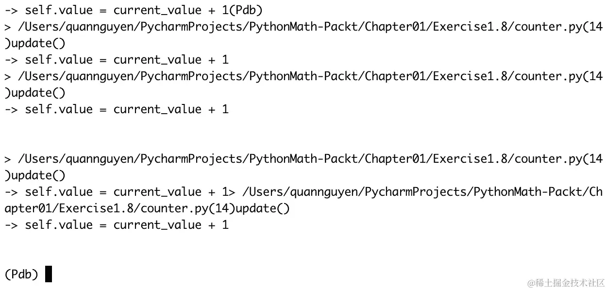 图 1.4：pdb 界面
