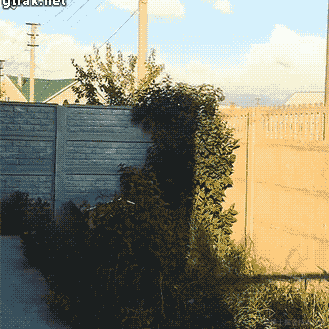 AnRFDev于2022-01-28 13:47发布的图片