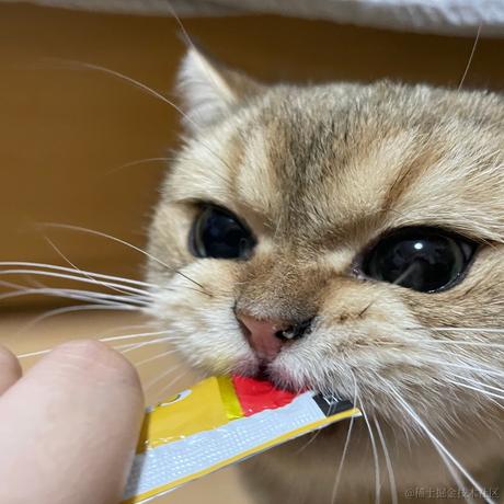 estar于2022-11-23 16:20发布的图片