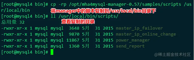 image-20220604220041919