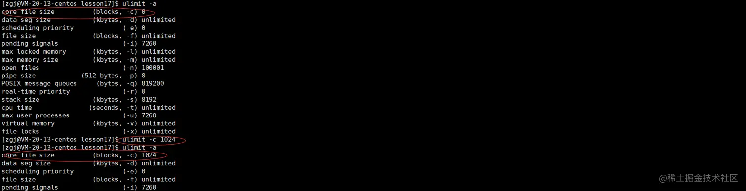 image-20220324181329767