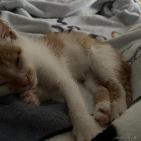 梦想是回家养猪于2024-06-24 10:34发布的图片