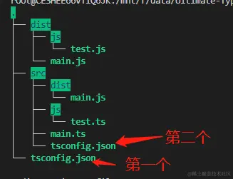 Typescript教程（二）