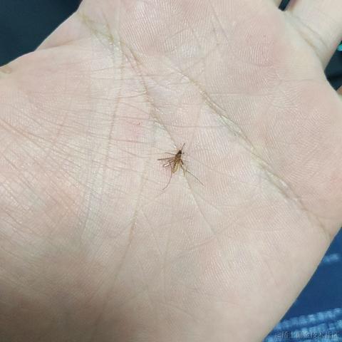优秀稳妥的金枪小魔王于2023-06-06 09:34发布的图片