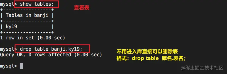 image-20220524233848796