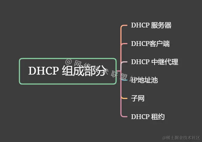 DHCP组成部分