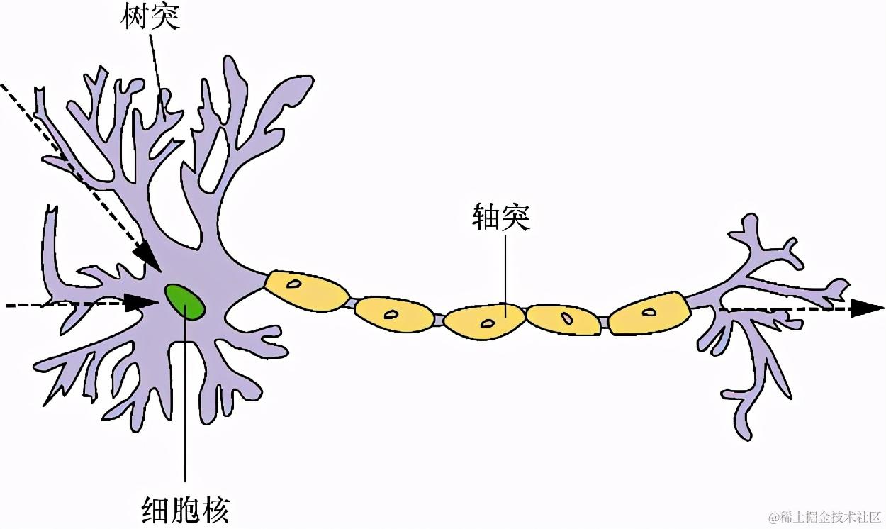 自然语言处理怎么最快入门？