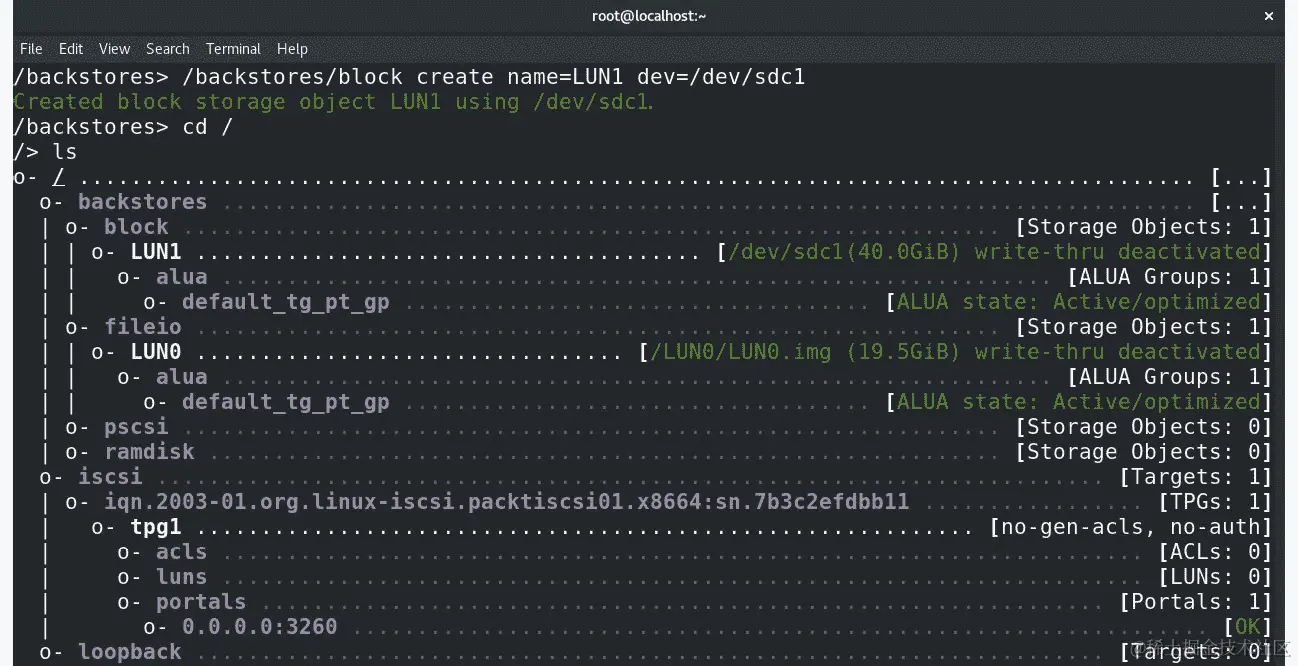 图 5.10 - 创建 LUN1，直接从块设备托管