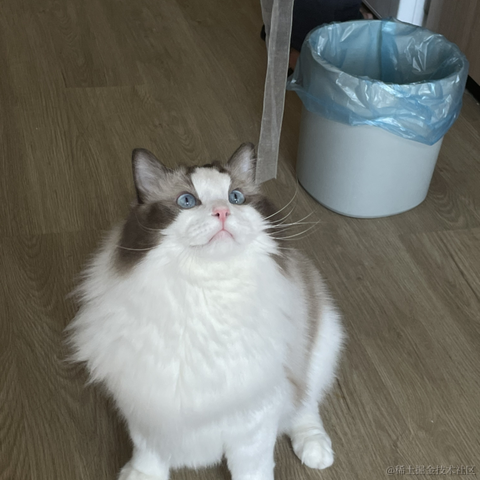 端盘花生米于2022-10-20 17:08发布的图片