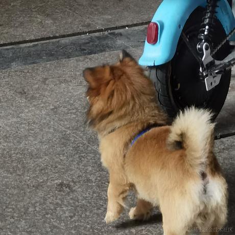 一凯恩一于2022-11-24 08:49发布的图片