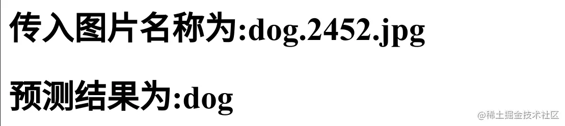 image-20220318124749907