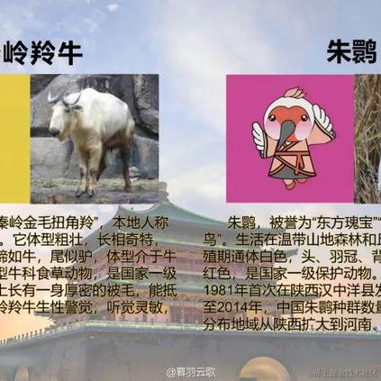 当时只道是寻常_于2022-04-19 11:33发布的图片