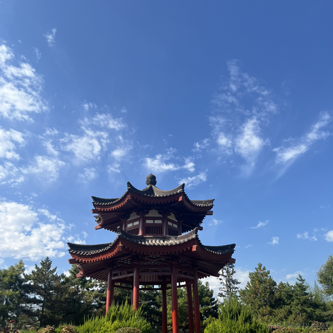 单纯_稀饭于2023-11-02 09:07发布的图片