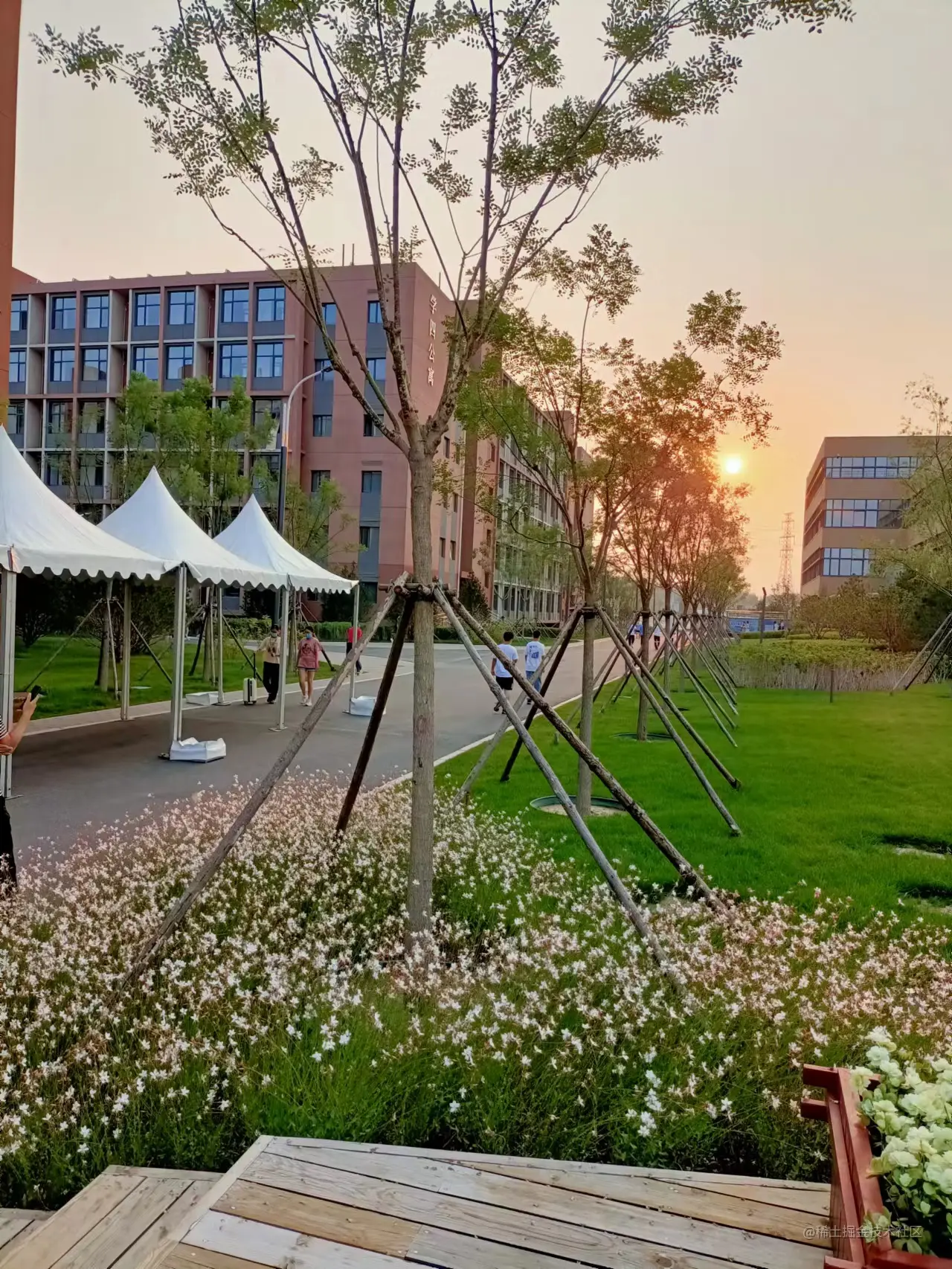 校园.jpg