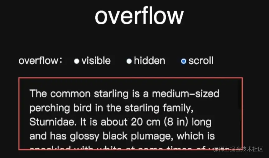 image-20220726213514807