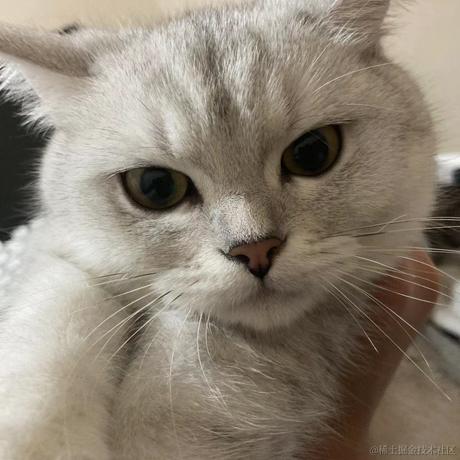 小任在努力于2022-11-21 22:40发布的图片