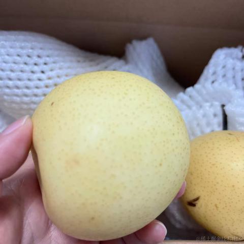 BooBoo于2022-11-27 10:09发布的图片