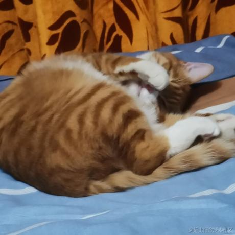 柒弎于2022-11-26 16:40发布的图片