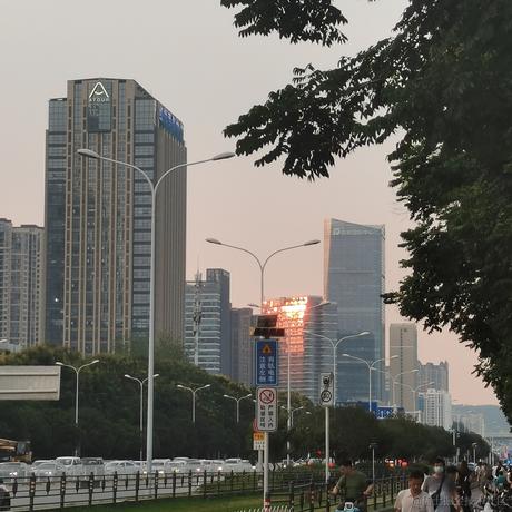 芦苇269于2023-08-25 11:51发布的图片