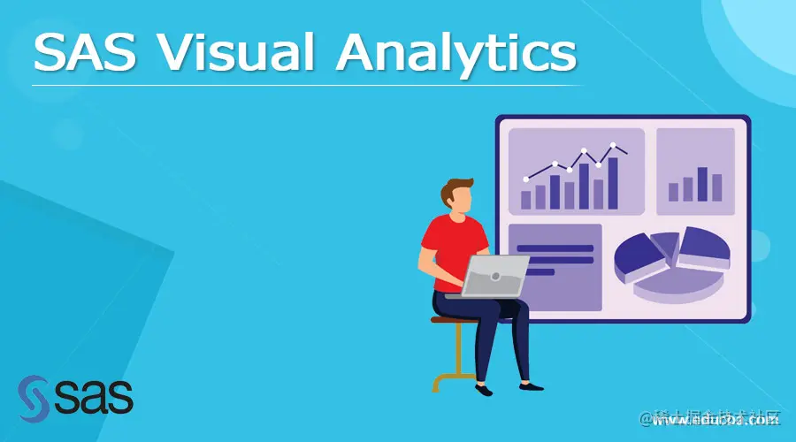SAS Visual Analytics