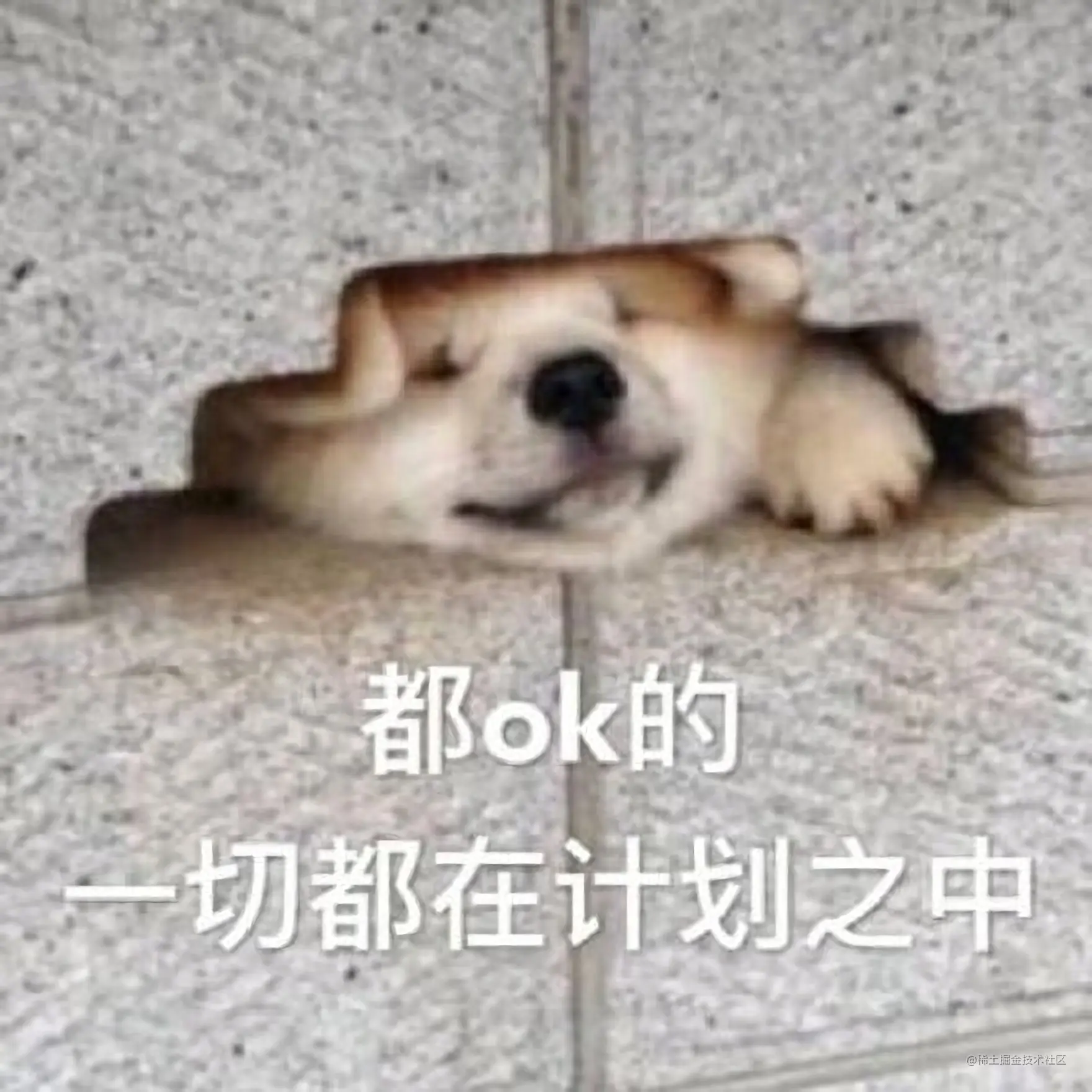运维：你们JAVA服务内存占用太高，还只增不减！告警了，