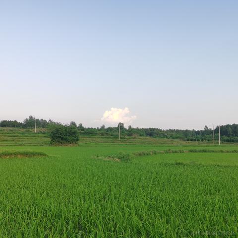 Spirited_Away于2023-06-13 19:38发布的图片