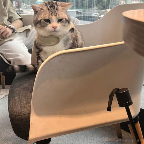 晚宝碗宝于2023-06-20 23:11发布的图片