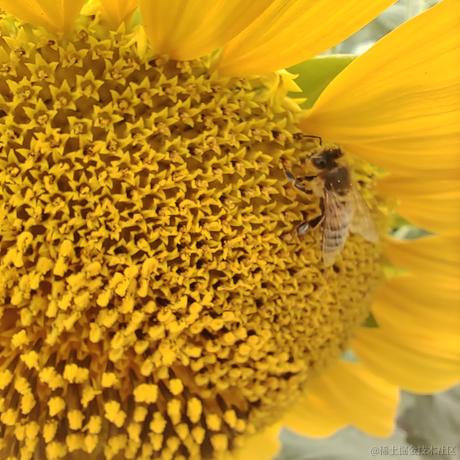 越南嘉心糖于2022-11-16 21:07发布的图片