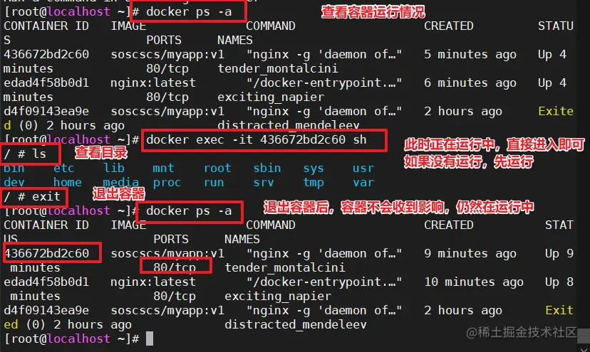 image-20220623192651856