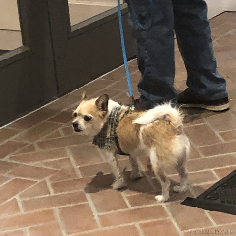 stanleykubrick于2022-11-30 17:41发布的图片