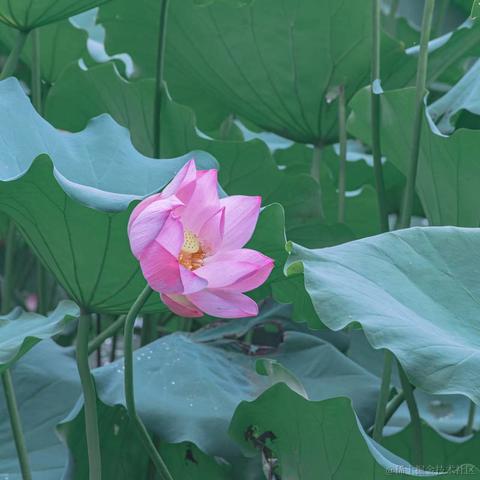 脆弱杨桃干于2023-06-19 23:06发布的图片