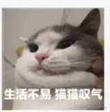 image-20211104233809859