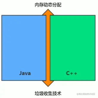 image-20201223100005475