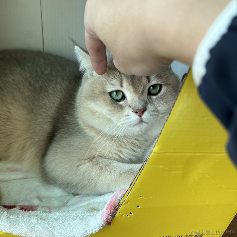 JAVA旭阳于2023-01-20 15:35发布的图片